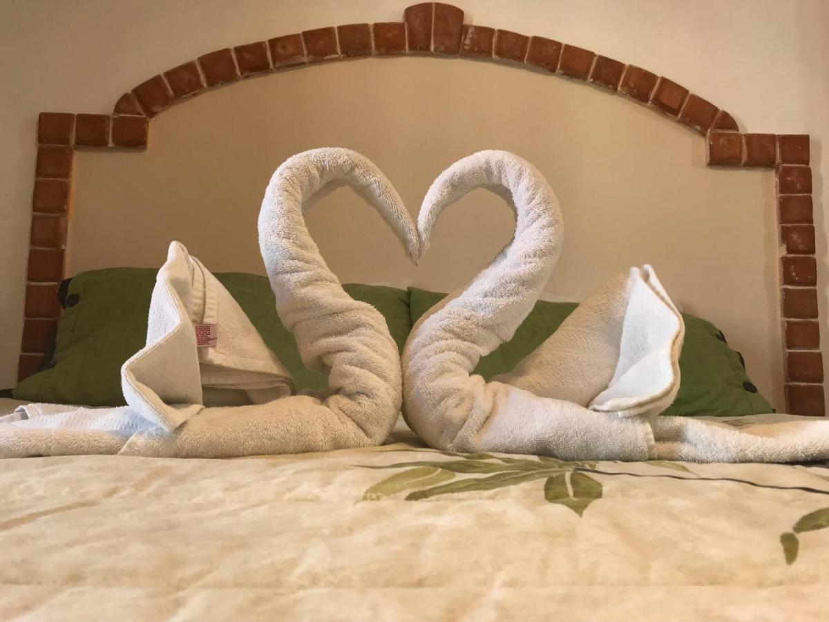 Fenicia (adults Only) Apartment Playa del Carmen