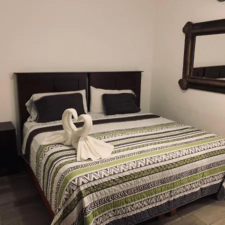 Suites Fenicia (Adults Only) Playa del Carmen Exterior photo