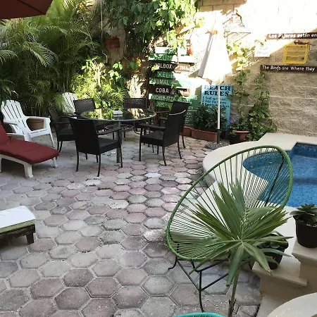 Suites Fenicia (Adults Only) Playa del Carmen Exterior photo